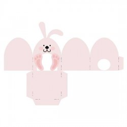 Bunny Box - CS