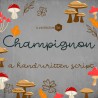 ZP Champignon - FN -  - Sample 2