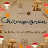 ZP Champignon Bold - FN -  - Sample 2