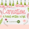 ZP Carnation Light - FN -  - Sample 2