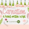 ZP Carnation Bold - FN -  - Sample 2