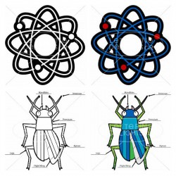 Scientific 2 - CL