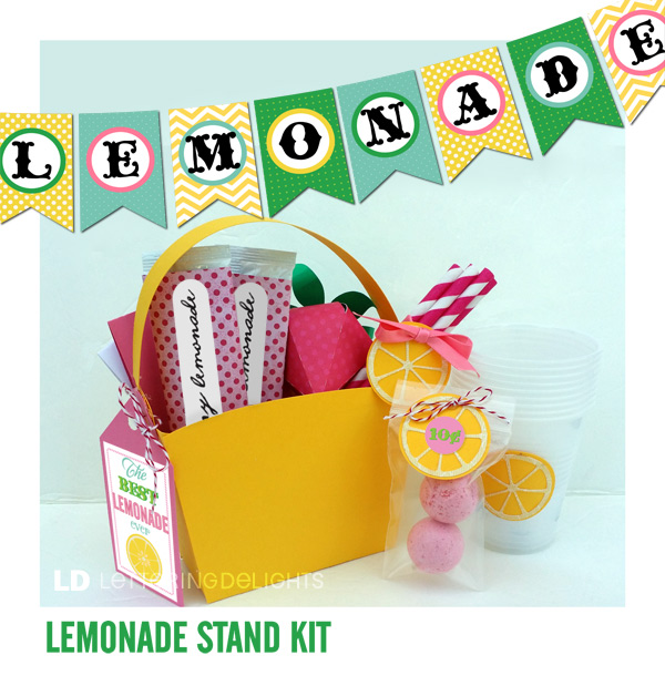 lemonade stand kit
