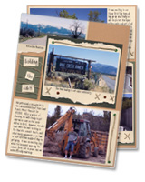 Building the Cabin