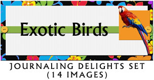 JD Exotic Birds Journaling Delight Set