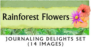 JD Rainforest Flowers Jounaling Delight Set