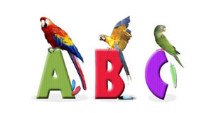 JDA Exotic Birds Alphabet