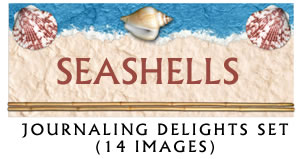 JD Seashells Jounaling Delight Set