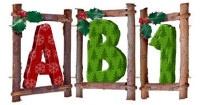 Rustic Christmas