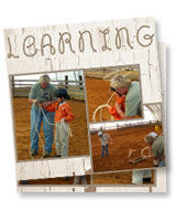 Learning to Lasso Inspiration Sation Winner