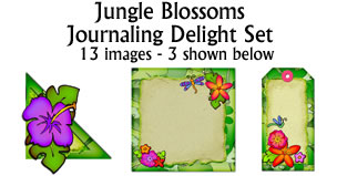 JJD Jungle Blossoms Jounaling Delight Set