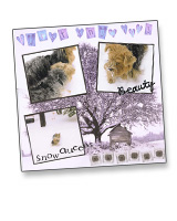 First Snow 2003 Inspiration Sation Winner