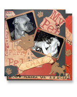 My Pet Inspiration Sation Winner