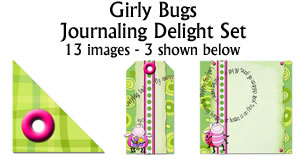 JJD Girly Bugs Jounaling Delight Set