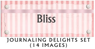 JD Bliss Jounaling Delight Set