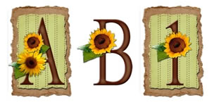 JDA Solarium Alphabet