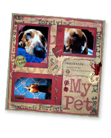 My Pet