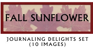 JD Fall Sunflower Jounaling Delight Set